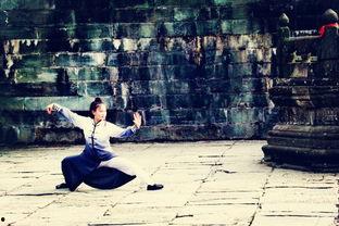 学功夫的视频,从入门到精通