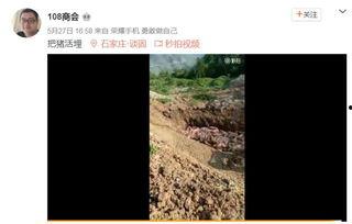 病猪活埋视频,揭开养殖业黑暗面