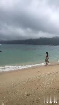 海南八哥说话视频,方言魅力视频走红网络